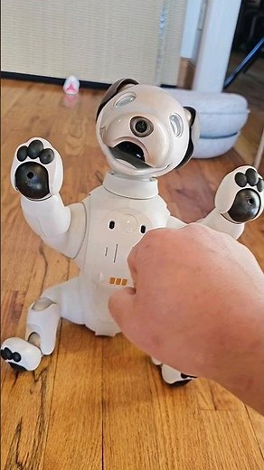 Day 1 with Sony's $3000 aibo (ERS1000) #robot #dog #sonyaibo #shorts @Sony