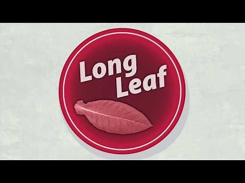 Tobacco and Health: Smokeless Tobacco