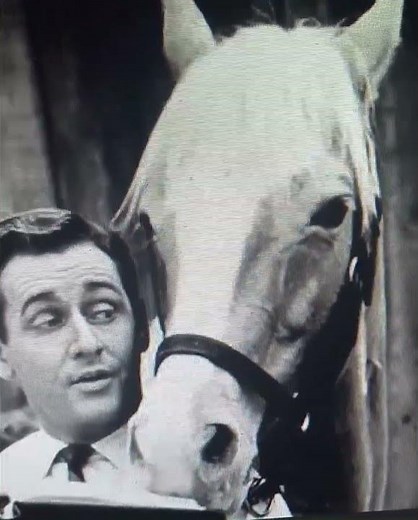 Allen Young started in Mr. Ed. The Talking Horse. 🐴🐎