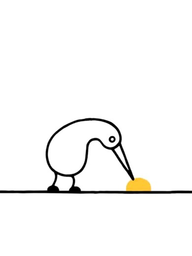 Understanding the Bird Addiction Trend