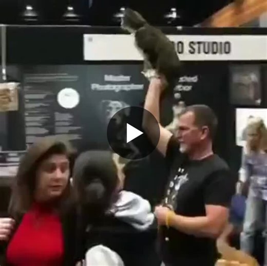 #bidwriting #bidmanagement #proposalwriting | Sam Quick (CP APMP)