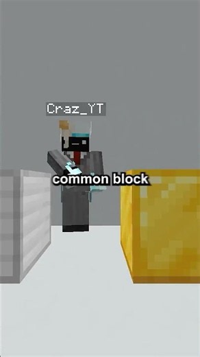 The Most Common Block In Minecraft