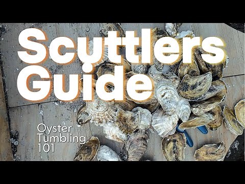 Beginners guide to oyster Tumbling