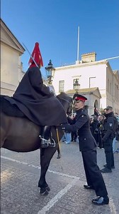 The King’s horse says ‘no’ to the sentry box today#london #kingsguard #history #horse