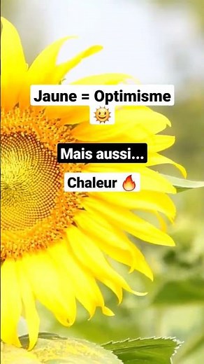 Signification couleur Jaune 💛 Psychologie des couleurs 🟡