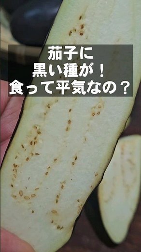 茄子を切ったら茶色や黒い種が！食っても平気なの？なすの冷蔵、冷凍保存方法 ライフハック 茄子見分け方 ハウツー