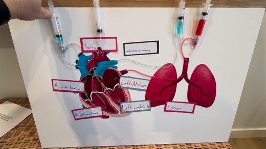 I might be more excited about my daughters science project than she is 😅 | Master Your Medics