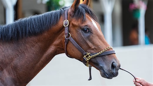 Kentucky Derby 2025 odds today: Horses in field after Todd Pletcher contender scratched