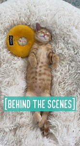 Behind the scenes | Bordernerd
