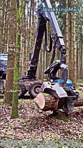 林業で効率的に木材を伐採・加工する方法：驚きの重機テクニック #worker #process #forestry #harvester #logging