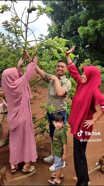 Ali Pasa on TikTok