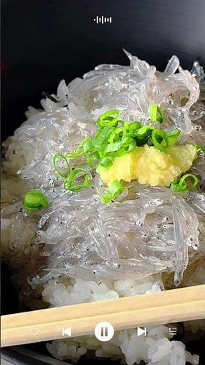 【旅】 田子の浦漁港でシラス丼を食べてきた | シラスと言えばここ！満腹半日旅 自由旅｜SoraumiTravel #travel #japan #shirasu #shizuoka #fuji