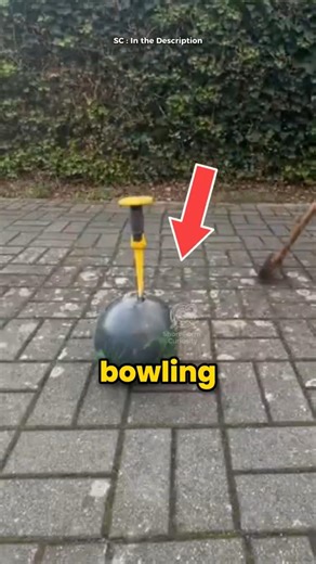 What the Inside of a Bowling Ball Looks Like?