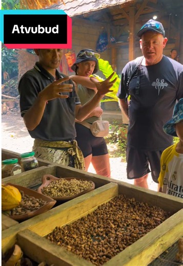 Les go book atv here guys **This price:* Include transportation: pick up hotel and back hotel • Single Atv Package :850k 1 bike 1 person • Tandam Atv Package :1.200k 1 bike 2 person **Duration 1hours 30mnit ** *```My Tracnk⬇️``` ✅Rice Field ✅River ✅jungle ✅barong cave ✅2 waterfall ✅tunndel pas ✅2 mud puddle ✅Cleanest Village * *Iclude* :⬇️ ✅helmet,boots ✅experienced instuctor ✅towel ✅mineral woter ✅lunch ✅insurance Iclude : see the coffee plantation (free for tester) ☎️ *WhatsApp Number*: 628570