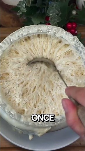 Sourdough Starter Explained 🍞😯