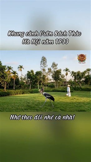 Khung cảnh góc Vườn Bách Thảo Hà Nội năm 1900.