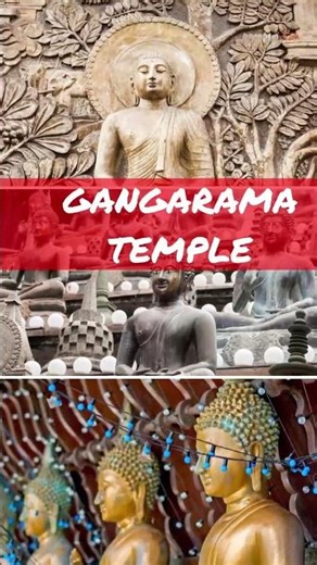 🇱🇰 Experience the beauty of Sri Lanka with **Manchester Travel&Tours**! ✈️ #manchestertravelandtours