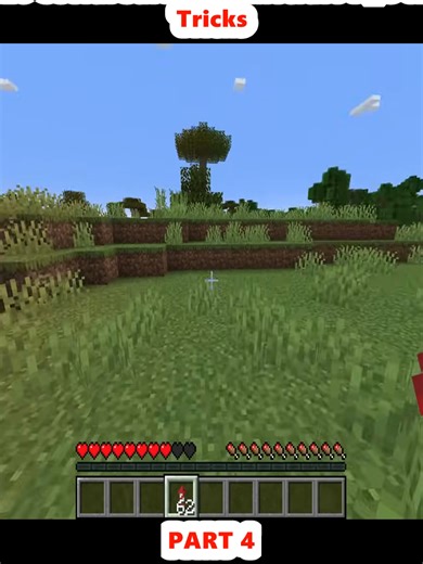 20 Useful Survival Minecraft Tips & Tricks (4)