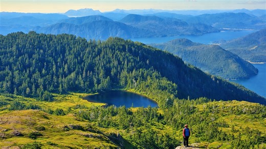 A rainforest landscape covering southeast Alaska