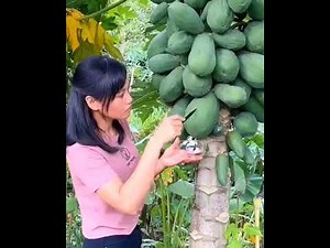 The World’s Most Mind-Blowing Things 😱 | You Won’t Believe These!