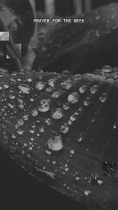 Today is the first week in Lent. As we continue to journey towards Easter, keep this prayer on your heart: Almighty God, whose blessed Son was led by the Spirit to be tempted by Satan: Come quickly to help us who are assaulted by many temptations; and, as you know the weaknesses of each of us, let each one find you mighty to save; through Jesus Christ your Son our Lord, who lives and reigns with you and the Holy Spirit, one God, now and for ever. Amen. 🕊️ Lent is an invitation to find your plac