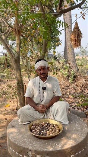 రాగి ఉండలు చాలా అద్భుతంగా ఉన్నాయ్ #healthyfood #organicfood #ragi #villagerlifestyle
