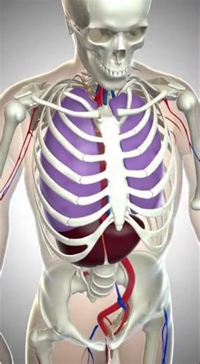 Benefits of Betaine (TMG) | Liver Detox & Healthy Methylation Explained #healthydiet #facts