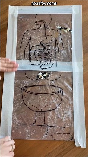 Ziplock bags and digestive system 😱 | @crafty.mom #shorts #short #viralshort