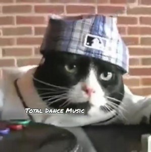 549K views · 13K reactions |  | Total Dance Music | Facebook