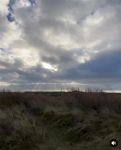 8.7K views · 40 reactions | Sefton Council: Blow off the cobwebs...