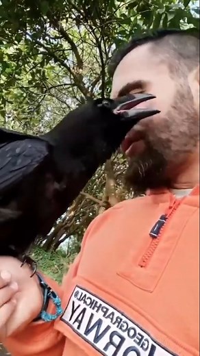 @anubis.dimitri ( Javier Otero) on Instagram: "Cuando era bebé empezaba a alejarse y venía a contarme sus aventuras"