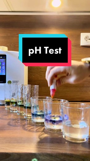 Go KANGEN [cu Vladimir Leca] pe TikTok