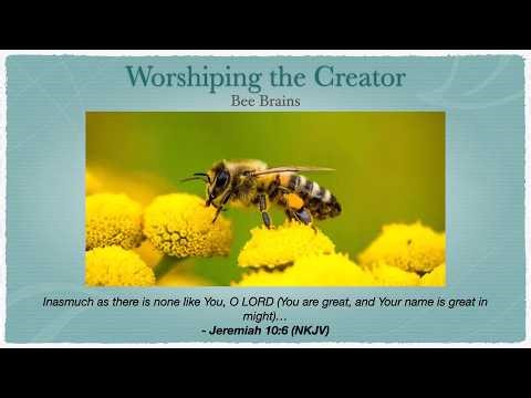[2026-04-19] Ep209 - Bee's Brain - Worshiping the Creator
