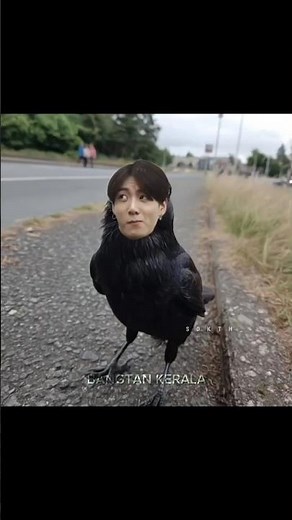 അടുത്ത ജന്മത്തിൽ കാക്ക 😂💥 #shortsfeed #btsot7forever #mallubtsarmy #jungkook