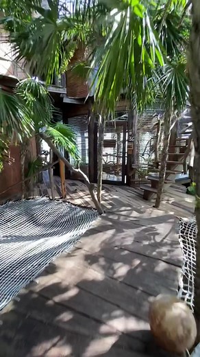 The place to be. @earthpix @ericdamier #azulik #nature #art #jungle #tulum #mexico #fyp #traveltiktok #lifestyle #hoteltulum #hotelmexico #luxuryvilla #luxuryhotel