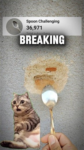 Spoon Vs Wall Brack challange Day 66 #asmr