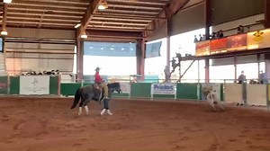 107K views · 2.2K reactions | Whitney Hall and J Noble Daggett, a son of Smart Little Lena, marked a 144.5 in the fence work on Friday, Jan. 15 at the 2021 World's Greatest Horsewoman competition at Art of the Cowgirl. | Quarter Horse News | Facebook