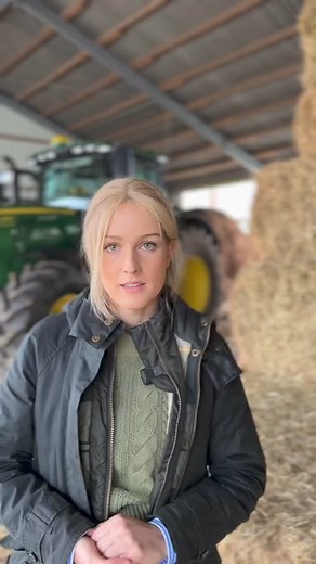 3.6K views · 213 reactions | Alternativen zum Dieseltraktor #agrar #kraftstoffe #berlin #demo #bauerndemo #agrardiesel #steuern #landwirtschaft | Castell | Facebook