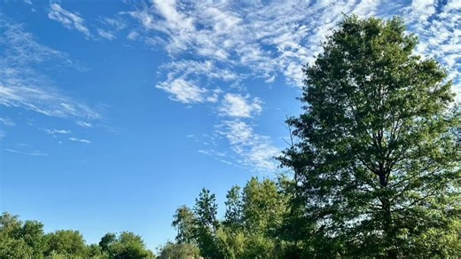 演示片—动态清晰度测试-24P-H.264 Lossless