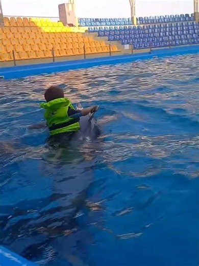 Dolphin Gives a Joyride to a Little Boy in the Pool 🐬👶💙