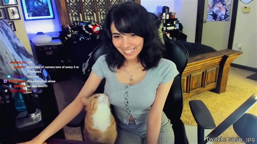 Best Cat Videos of the Decade
