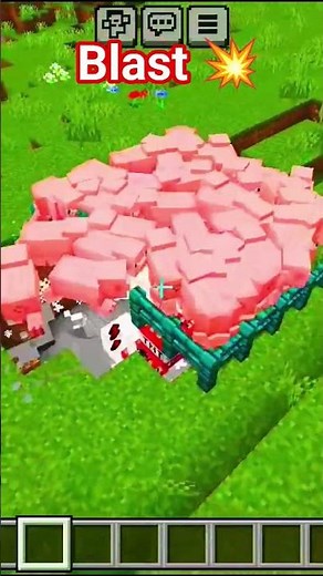 I Built a Minecraft Pig Farm...