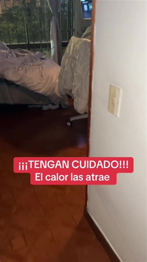 POR FAVOR MUCHA PRECAUCIÓN, no ha sido la primera vez que sucede esto debido al calor #atencion #precaucion #cuidado #shitzu #perritostiktokers