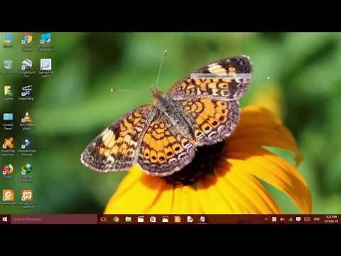 How to Download and Install Custom Themes on Windows 10