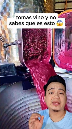 proceso de fermentación de vino de uva 😱😱