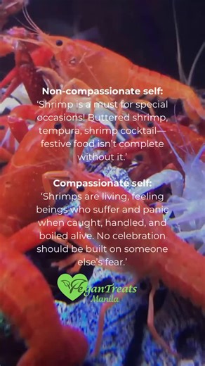 Non-compassionate self: ‘Shrimp is a must for special occasions! Buttered shrimp, tempura, shrimp cocktail—festive food isn’t complete without it.’ Compassionate self: ‘Shrimps are living, feeling beings who suffer and panic when caught, handled, and boiled alive. No celebration should be built on someone else’s fear.’ We used to think shrimp were just ingredients—tiny, insignificant, and meant to be eaten. We never stopped to imagine what they go through: being dragged from the ocean in massive