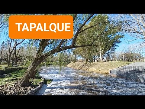 Conociendo TAPALQUE en Buenos Aires