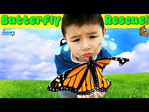 KIDS! 🦋We Saved Injured BUTTERFLIES! | EDUCATIONAL KIDS NATURE SHOW🌿