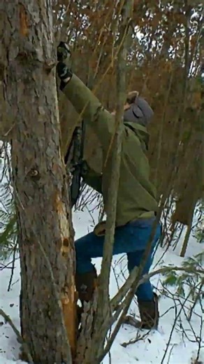 When you go squirrel hunting...