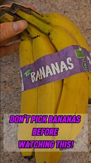 HOW TO PICK THE HEALTHIEST BANANAS 🍌 (YOU’VE BEEN DOING IT WRONG!)